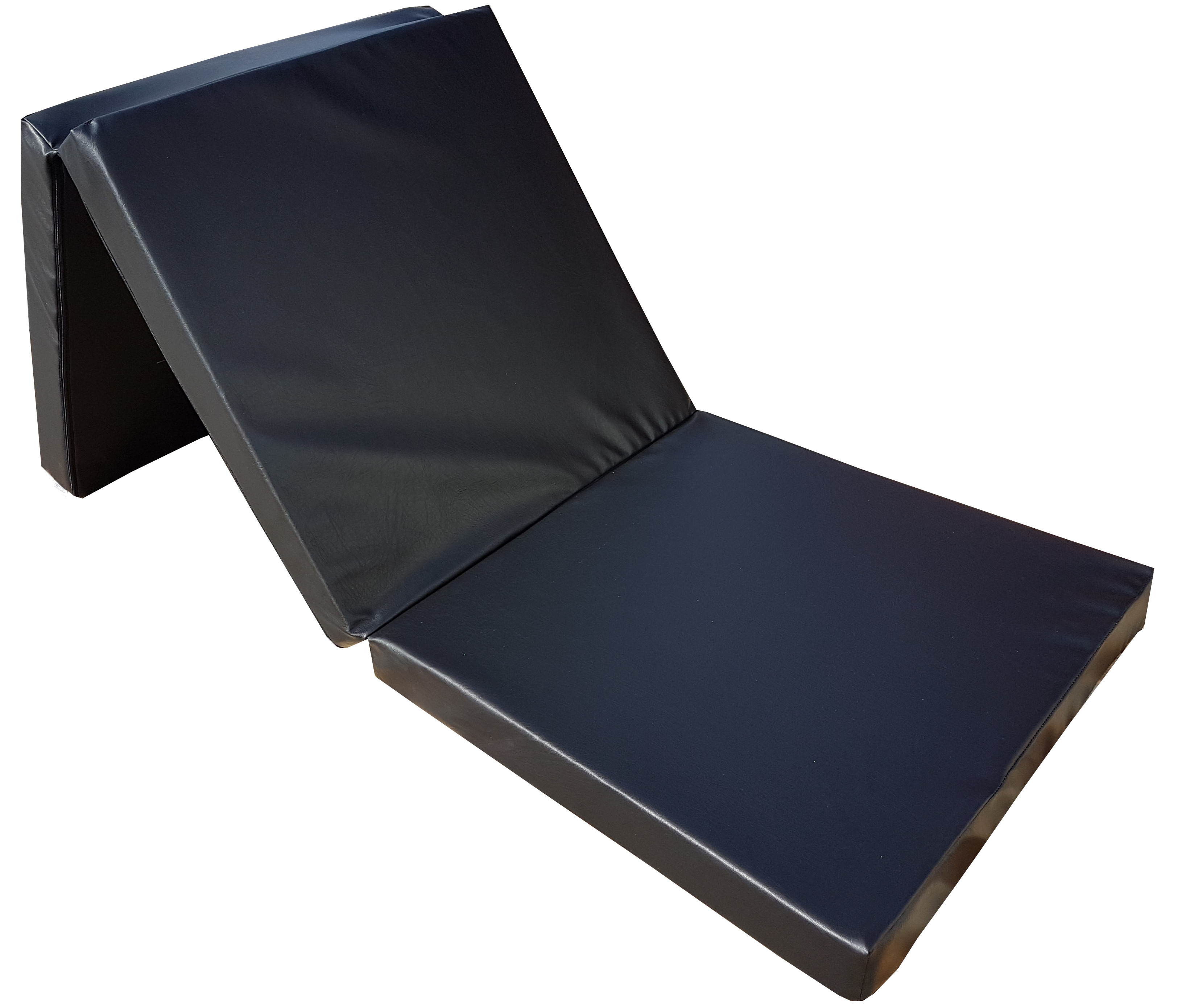 Gymnastic folding mattress 195x65x8 cm black